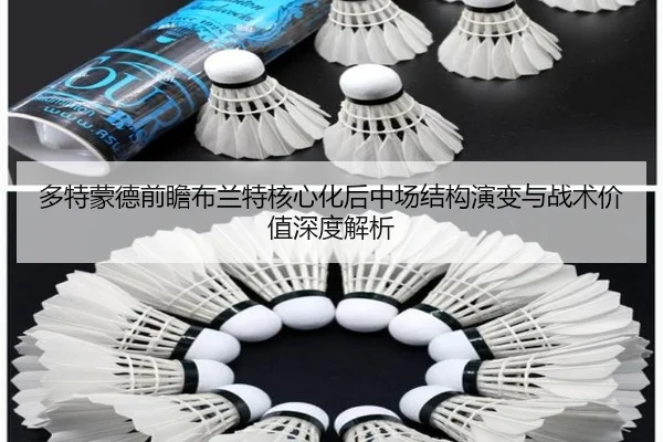 多特蒙德前瞻布兰特核心化后中场结构演变与战术价值深度解析 | kaiyun